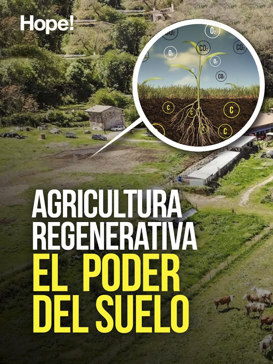 Agricultura regenerativa: el poder del suelo